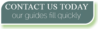 Contact Us Today